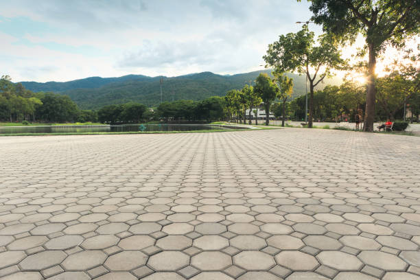 Best Local Driveway Pavers  in East Washington, PA